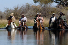 Botswana-Okavango Delta-Okavango Delta Macatoo Safari